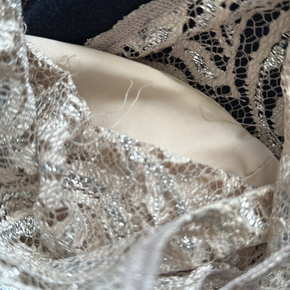 Jenny Yoo BDHLN Collection Sandstone Lace Cocktail Dress Size 6 - Picture 5 of 7